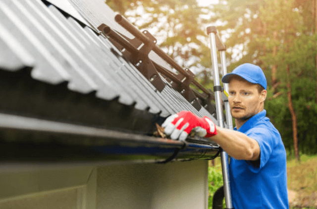 chicopee gutter service